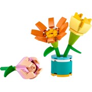 Friendship Flowers