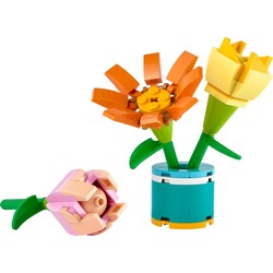 Friendship Flowers, zdjęcie 1