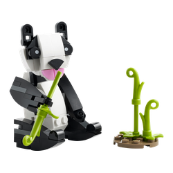 Panda, zdjęcie 1