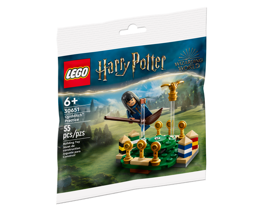 LEGO Set 30651 1 Quidditch Practice 2023 Harry Potter