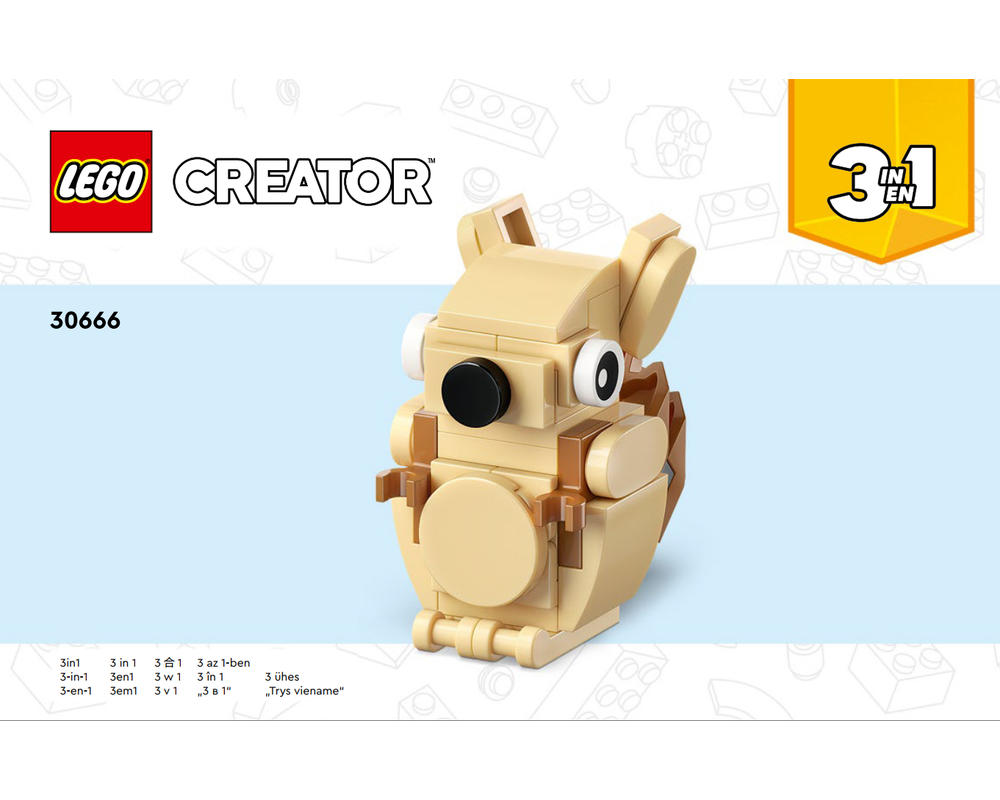 lego-set-30666-1-b2-squirrel-2024-creator-creator-3-in-1