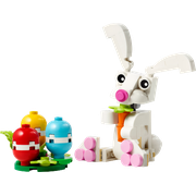 Easter Bunny with Colourful Eggs