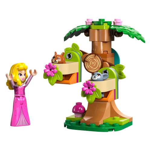 Aurora's Forest Playground