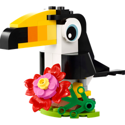 Tropical Toucan, zdjęcie 1