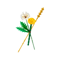 Field Flowers, zdjęcie 1