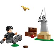 Quidditch Lesson