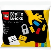 Play with Braille Bricks