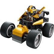 Ninja Cole's Car