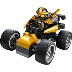 Ninja Cole's Car, zdjęcie 1