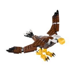 Fierce Flyer, zdjęcie 1