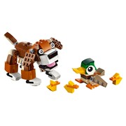 Park Animals