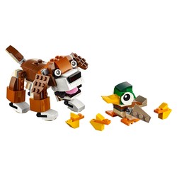 Park Animals, zdjęcie 1
