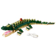 Crocodile