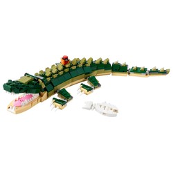 Crocodile, zdjęcie 1