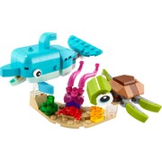 Dolphin and Turtle