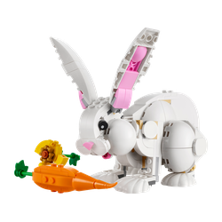 White Rabbit, zdjęcie 1
