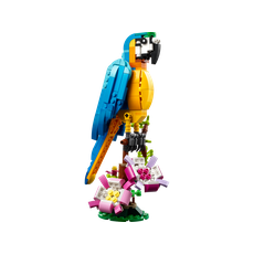 Exotic Parrot (set 31136-1)