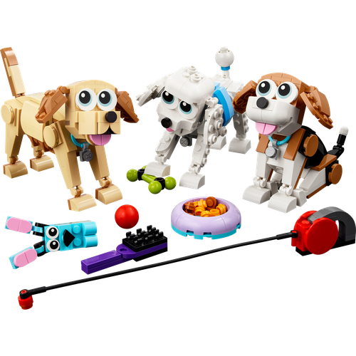 Adorable Dogs