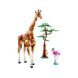 Wild Safari Animals, zdjęcie 1