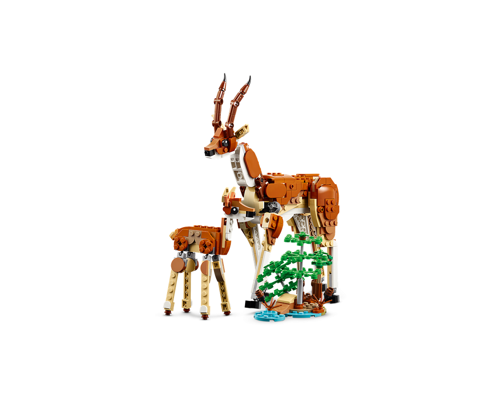 LEGO Set 311501 Wild Safari Animals (2024 Creator > Creator 3in1