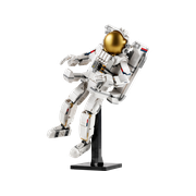 Space Astronaut