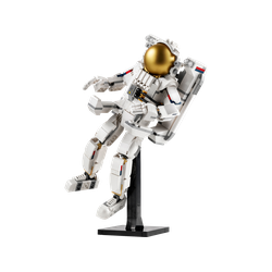 Space Astronaut, zdjęcie 1