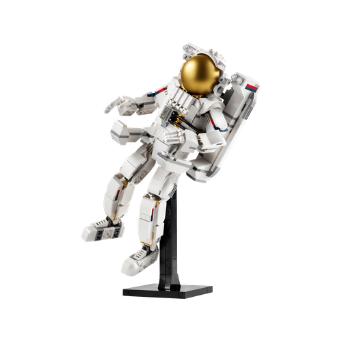 Space Astronaut