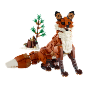 Forest Animals: Red Fox