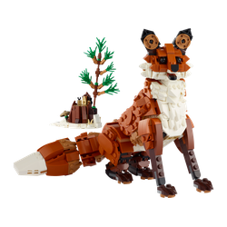 Forest Animals: Red Fox, zdjęcie 1
