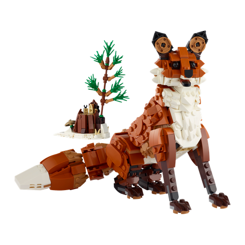 Forest Animals: Red Fox