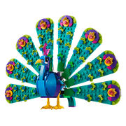 Exotic Peacock