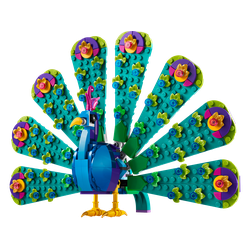 Exotic Peacock, zdjęcie 1