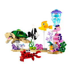 Sea Animals, zdjęcie 1