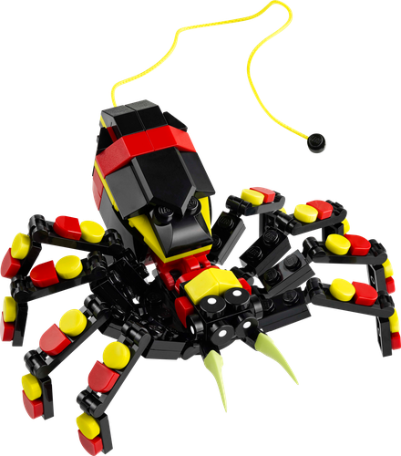 Wild Animals: Surprising Spider