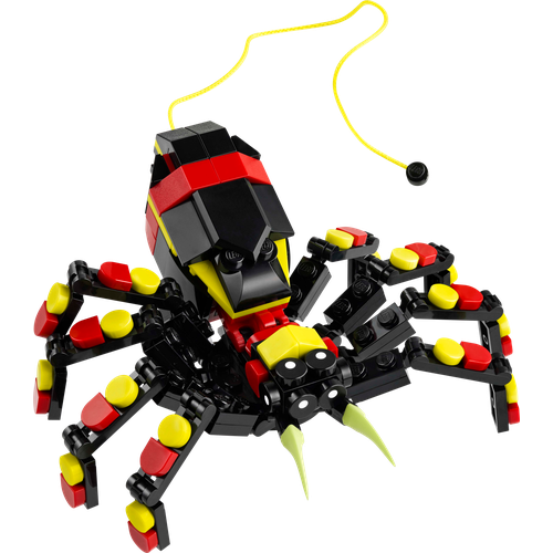 Wild Animals: Surprising Spider