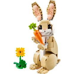 Cute Bunny, zdjęcie 1