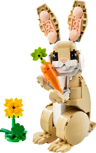 Cute Bunny
