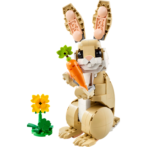 Cute Bunny