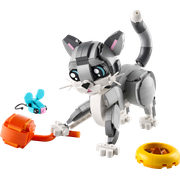 Playful Cat