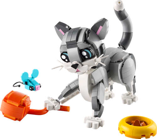 Playful Cat