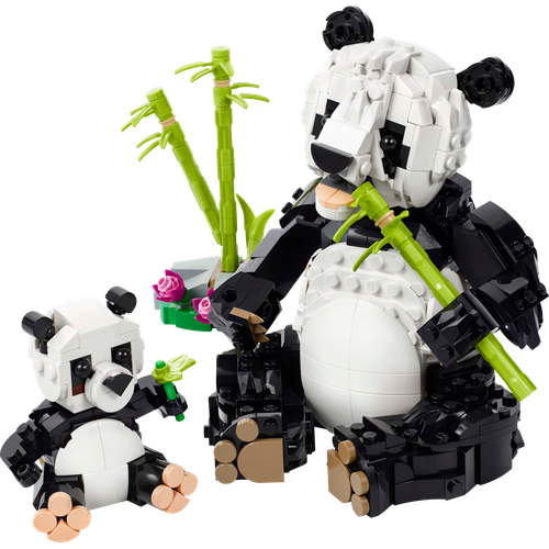 Wild Animals: Panda Family