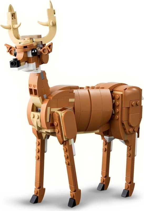 Deer (Official B-Model)
