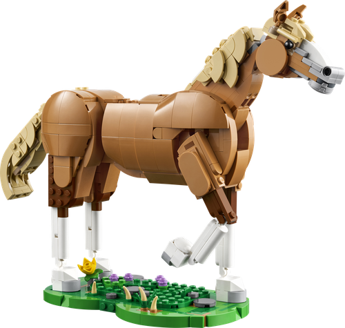 Beautiful Horse
