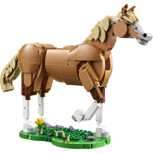 Beautiful Horse