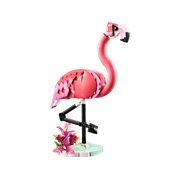 Wild Animals: Pink Flamingo