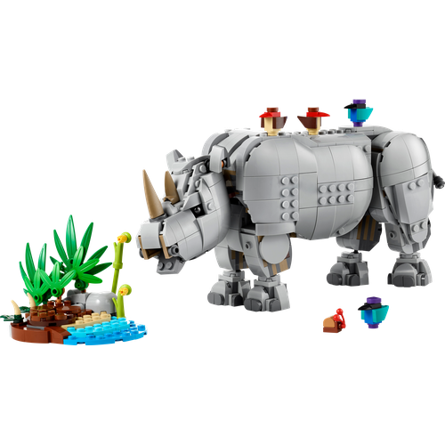 Wild Animals: Majestic Rhino with Birds