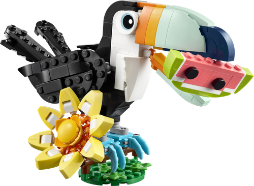 Wild Animals: Tropical Toucan