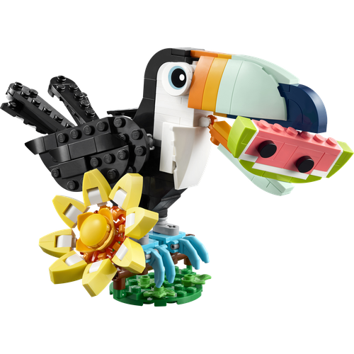 Wild Animals: Tropical Toucan