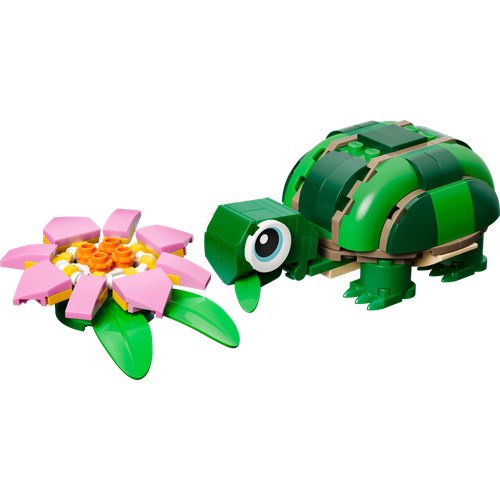 Turtle with a Water Lily Flower