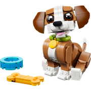 Cute Animals: Playful Puppy Dog